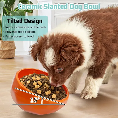Miniatura 2 de kathson Slanted Ceramic Dog Bowl Tilted 15° Cat Food Water Bowls Dish Animal Pet Comfort Feeding Bowls Heavy Weighted Feeder for Wet or Dry Food