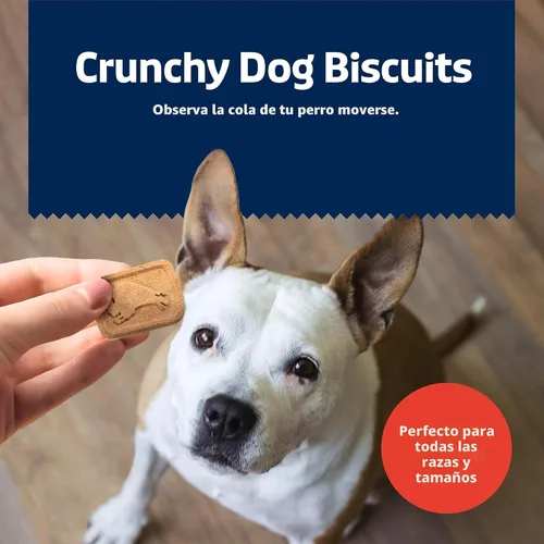 Miniatura 4 de Blue Buffalo Health Bars - Galletas crujientes de tocino, huevo y queso para perros, horneadas al horno con tocino real e ingredientes naturales