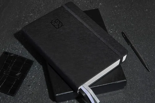 Wyze Planner Agenda diaria sin fecha, organizador de productividad A5 de 6 meses con página completa por día, horario por hora, establecimiento de