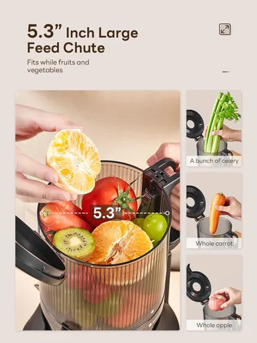 Miniatura 2 de QCen Exprimidor de prensa en frío, 5.5 pulgadas de ancho, máquina de masticación lenta para frutas y verduras enteras, fácil de limpiar (gris)