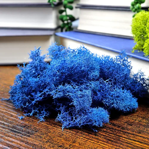 NW Wholesaler Musgo de reno preservado de color azul brillante, 2 onzas, para interiores y exteriores, para plantas en maceta, terrarios, jardines