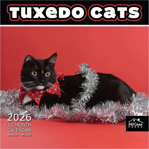 Miniatura 11 de MICASA PRESS Calendario de pared de gatos 2026 de 12 meses 12 x 24 pulgadas abierto Papel grueso y resistente Regalo de vacaciones Lindo