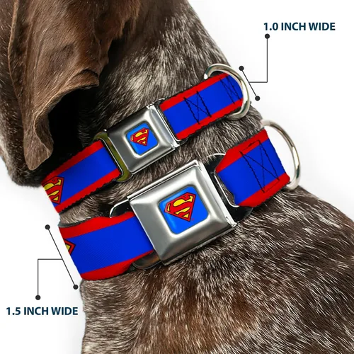Miniatura 2 de Collar de perro Hebilla de cinturón de seguridad Superman Shield Stripe Rojo Azul 9 a 15 pulgadas 1.0 pulgadas de ancho