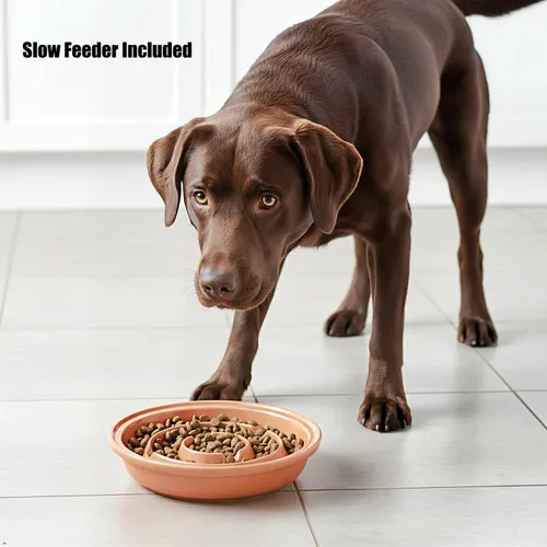 Miniatura 2 de Soporte elevado para cuencos para perros con 3 cuencos grandes de cerámica, estación de alimentación elevada para perros medianos y grandes, incluye