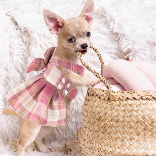 Miniatura 5 de Potchen Juego de 4 piezas de bonito vestido a cuadros para perro con arnés de lazo y correa para perros pequeños, ropa de cachorro para niñas