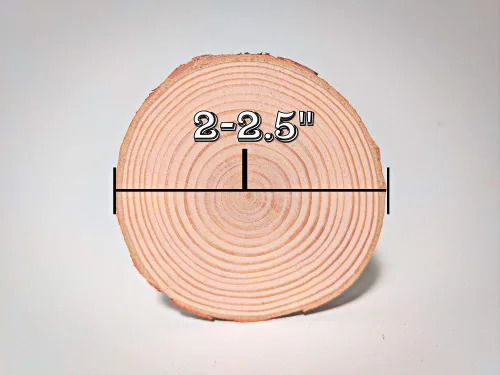 Miniatura 2 de Woody's Craftshop - Rodajas de madera natural, 32 piezas, 2-2.5 pulgadas x 0.5 pulgadas, pino sin terminar con borde vivo, lienzos para adornos