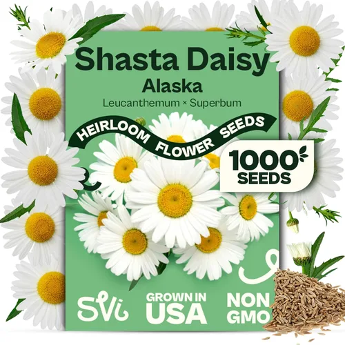 Miniatura 23 de Queen Anne 's Lace- 200 semillas – 50% de descuento venta