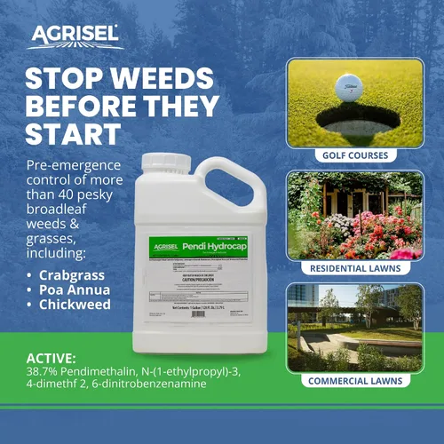 Miniatura 2 de Agrisel Pendi Hydrocap Herbicida fórmula pre-emergente, eficaz en más de 40 malezas y hierbas de hoja ancha, sin manchas, se mezcla fácilmente