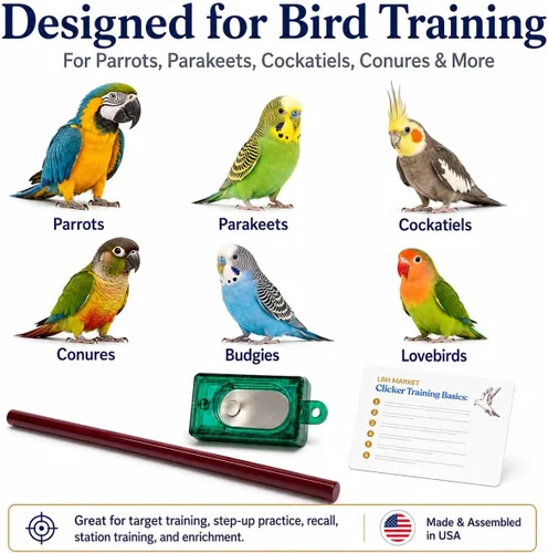 Miniatura 3 de LBH MARKET Kit de entrenamiento de clicker de aves con palo de objetivo, palo de entrenamiento de aves acrílico de 9 pulgadas y caja de clicker