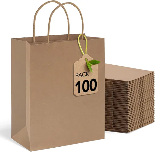 MESHA Bolsas de papel kraft marrón de 10 x 5 x 13 pulgadas, 100 unidades, bolsas de regalo grandes con asas a granel, bolsa de compras reutilizable