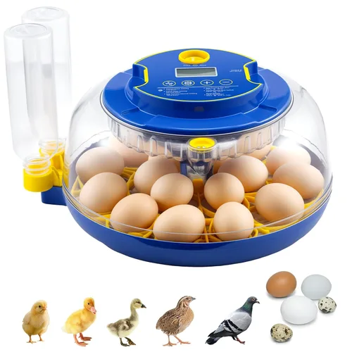 Incubadora automática de 18 huevos con control de temperatura y humedad, incubadoras para incubar huevos, pollo, patos, ganso, paloma, codorniz,