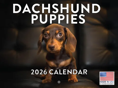 Miniatura 130 de Calendario de pared mensual 2025 Great Dane de 12 meses, fabricado en Estados Unidos