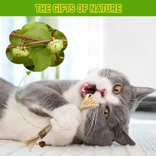 Miniatura 4 de GBSYU Paquete de 3 Juguetes para Gatos Silvervine, Palos de Silvervines Juguetes para Gatos de Interior, Juguetes Masticables para Gatos y Gatitos