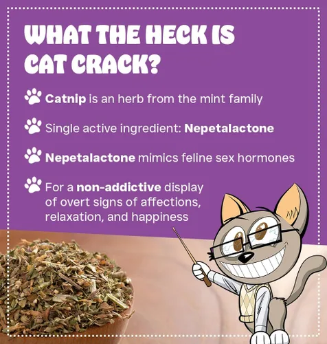 Miniatura 2 de Cat Crack Paquete de 1 taza y 4 tazas de hierba gatera orgánica, mezcla segura de primera calidad, infundida con la máxima potencia, tu gatito