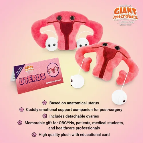 Miniatura 5 de GIANT MICROBES Juguete de peluche de útero, regalos de histerectomía, conciencia de endometriosis, regalos feministas, regalo de fertilidad, regalo