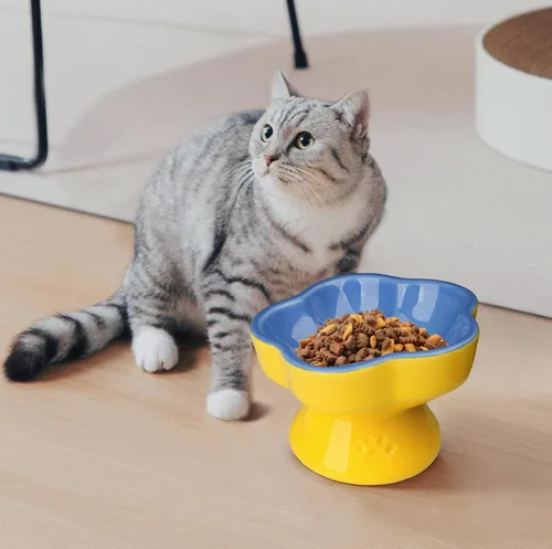 Miniatura 5 de S&Q's CERAMICS Cuenco elevado para gatos, cuenco elevado para alimentos y agua, plato con título de cerámica, apto para antivómitos y bigotes, apto