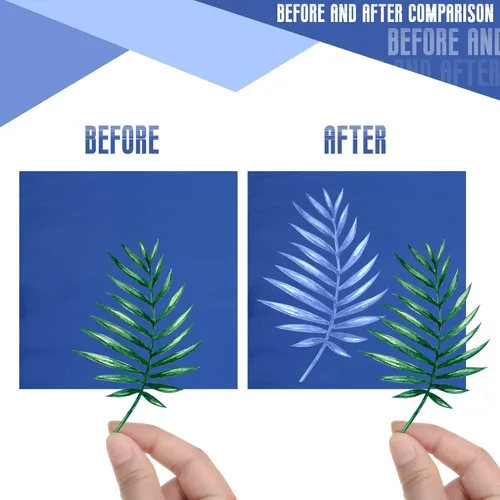 Miniatura 4 de Eersida Juego de 60 hojas de papel de impresión solar, papel cianotipo de alta sensibilidad, naturaleza activada por energía solar, herramienta