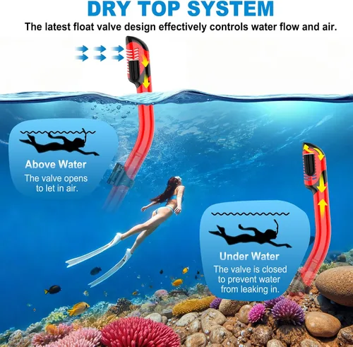 Miniatura 5 de Equipo de esnórquel para adultos, conjunto de esnórquel máscara de buceo con tubo seco superior, gafas de natación para adultos con cubierta