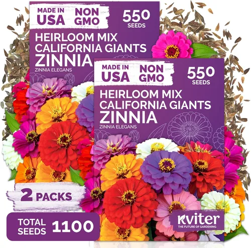 Miniatura 13 de KVITER Mezcla de 100 semillas de calabaza pequeñas (Cucurbita Pepo), paquete de 2 – Calabazas ornamentales de otoño, sin OGM – Semillas de reliquia