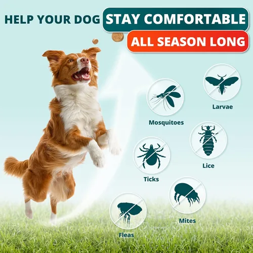 Miniatura 5 de Prevención de pulgas y garrapatas para perros masticables - Tratamiento natural de pulgas y garrapatas para perros - Píldoras de control oral