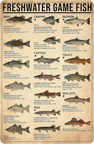 Smilelife Letrero de estaño vintage Regalo para niños amantes de la pesca Conocimientos sobre peces de agua dulce para la cueva del hombre,