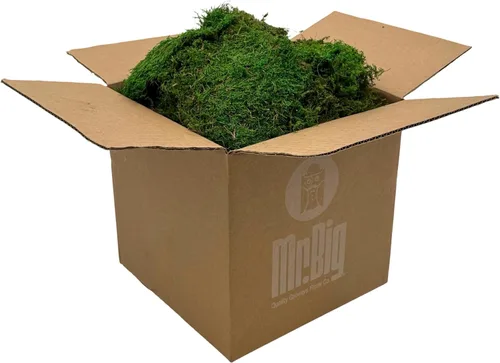 Musgo de hoja preservado - Musgo decorativo natural - Musgo seco para manualidades, decoración del hogar, proyectos de arte, diseño y bricolaje - No