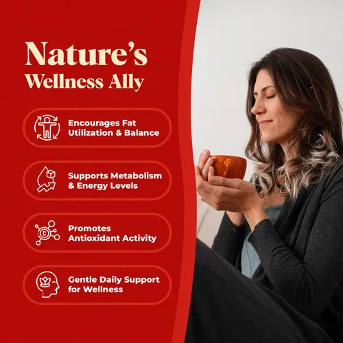 Miniatura 6 de Tónico orgánico Super Shrooms 6 en 1 para el bienestar de hongos – 250 mg por porción de Chaga, melena de león, Reishi, Shiitake, Cordyceps, cola
