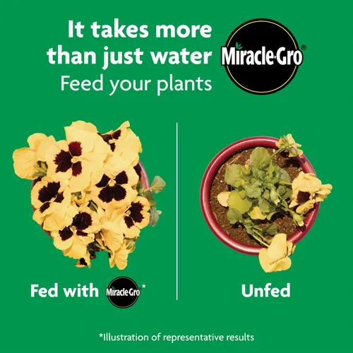Miniatura 10 de Miracle-Gro Shake 'N Feed - alimento vegetal multiusos, para plantas en tierra y macetas, nutrición por hasta 3 meses, 4.5 lbs.