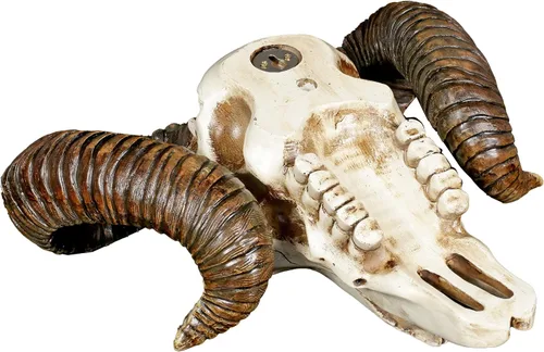 Miniatura 4 de Pacific Giftware Trofeo de pared de baphomet Ram Skull and Horns Baphomet Decor de 11 pulgadas