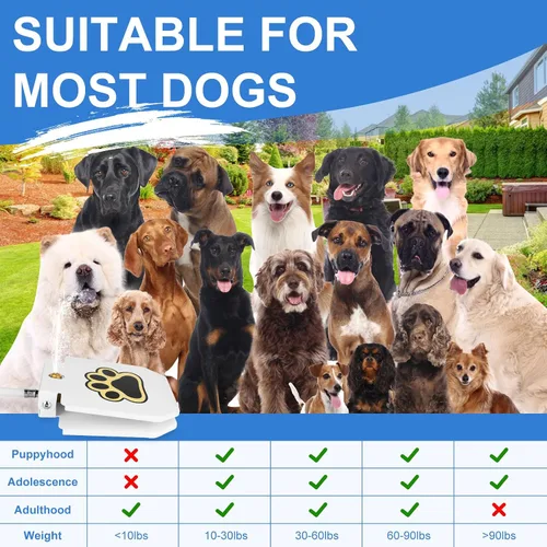 Miniatura 7 de Fuente de agua para perros, dispensador de mascotas activadas con patas al aire libre, rociador de agua para perros con manguera de 39.4 pulgadas