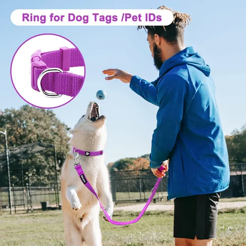 Miniatura 6 de azuza Paquete de 3 collares de perro cómodos y ajustables de nailon para perros pequeños, S (11-16 pulgadas), rosa, rosa intenso y morado 2#3 Pack