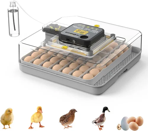 Incubadora de huevos para incubar 48 huevos de pollo, pato, codorniz y ganso - Girador automático de huevos, control de humedad y temperatura, vela