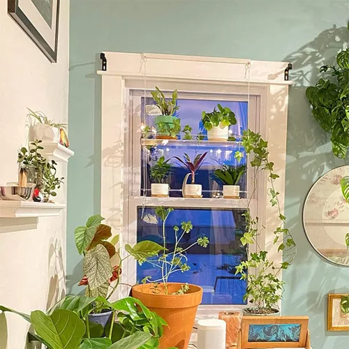 Miniatura 6 de Estantes acrílicos para plantas de ventana, estante de pared flotante colgante transparente, estante para macetas, estante para plantas de ventana