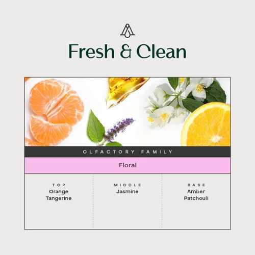 Miniatura 3 de AromaPlan Aroma de Hotel Fragancias Frescas y Limpias, 50 ml (1.7 Fl Oz) - Aceite Esencial de Aroma y Fragancia de Hotel de Lujo - Aceite Esencial