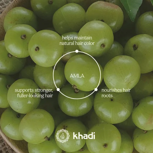 Miniatura 7 de khadi Strong AMLA - Aceite para el cabello, 100% natural, herbal, vegano, promueve el crecimiento, previene la caída del cabello y las canas