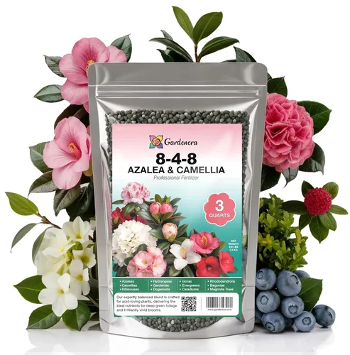 Miniatura 133 de 𝐁𝐄𝐒𝐓𝐒𝐄𝐋𝐋𝐄𝐑 Fertilizante Soluble en Agua 20-20-20 – Polvo para Alimento Líquido de Plantas para Plantas de Interior y Exterior, Orquídeas, Vegetales