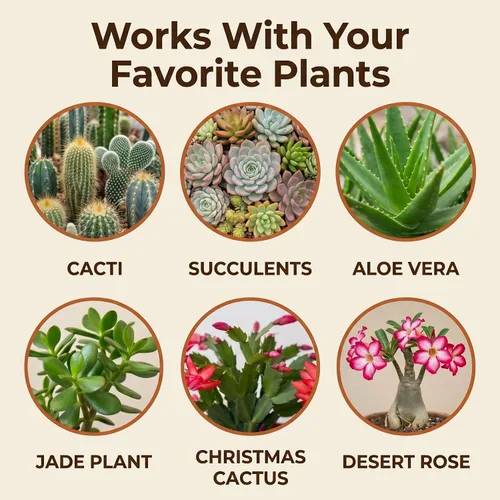 Miniatura 4 de Mezcla de tierra natural para macetas de cactus y suculentas (hecha en Estados Unidos) (4 cuartos secos)