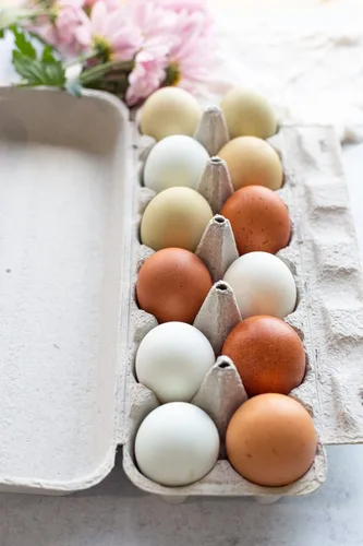 Miniatura 3 de Cartón de pulpa de papel plano en blanco de 12 huevos - Cartones de huevos (25)