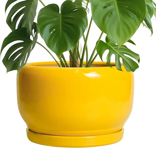 Miniatura 73 de SQOWL Macetas de cerámica – Maceta de 6 pulgadas con orificio de drenaje y bandeja, maceta redonda para plantas de interior, maceta decorativa