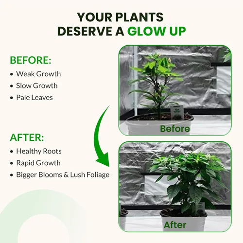 Miniatura 8 de Humboldts Secret Paquete de kit de iniciación Fertilizante para plantas de interior y exterior y nutrientes hidropónicos Base A y B, calMag