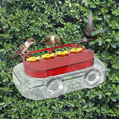 Miniatura 6 de Redboat Paquete de 2 Comederos para Colibríes de Ventana, Comedero para Colibríes con Ventosa Fuerte con 4 Puertos de Alimentación, Fácil de Limpiar