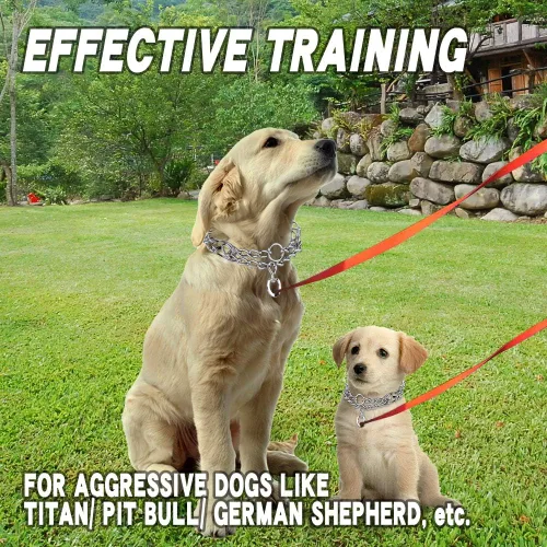 Miniatura 9 de Collares de púas para perros, collar de perro sin tirones, collar de entrenamiento para perros grandes, medianos y pequeños, de acero inoxidable