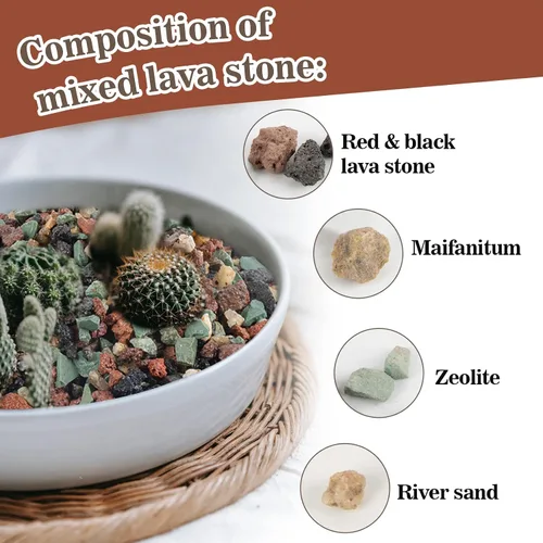 Miniatura 3 de Sukh Suelo de gránulos para suculentas hortícolas de 1 libra, mezcla de bonsái, rocas de lava, cactus y suelo, enmienda de mezcla para macetas