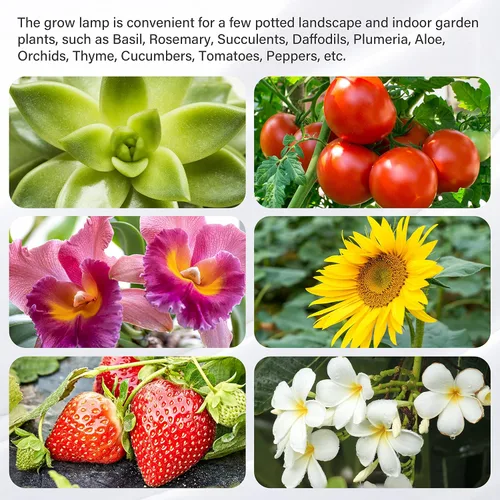 Miniatura 7 de iPower - Lámpara LED de crecimiento con espectro completo para plantas de interior, cuello de cisne ajustable, 2/3 modos de luz y 5/10 niveles