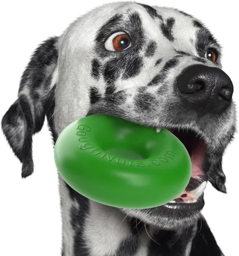 Miniatura 11 de Goughnuts - Juguete de goma para morder para perros Med.75, verde, anillo