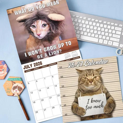 Miniatura 2 de Calendario de pared 2026 – enero 2026 – diciembre 2026, calendario divertido de gato 2026, calendario de 12 meses, fotos divertidas de memes