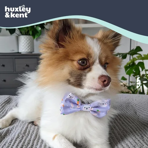 Miniatura 4 de Huxley & Kent Corbatín para mascotas para perros y gatos - Accesorio de collar ajustable de gancho y velcro de primavera y Pascua - Lindo y cómodo