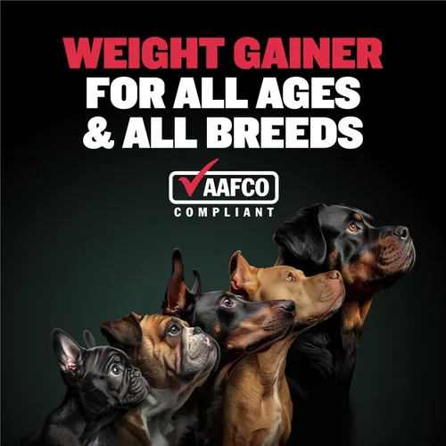 Miniatura 3 de Bully Max Ganador de peso para perros 2400 Cal – Suplemento líquido alto en calorías para perros con omega-3 y proteína de suero – Apoyo