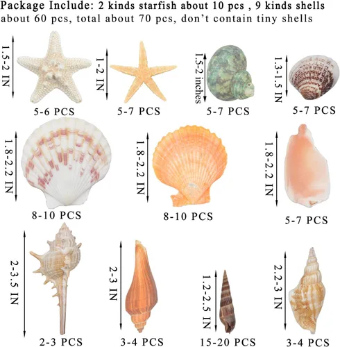 Miniatura 2 de Conchas marinas mixtas de playa, 9 tipos de conchas marinas de 1.2 a 3.5 pulgadas, varios tamaños, conchas naturales y 2 tipos de estrellas de mar