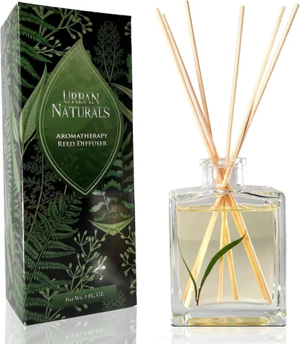 Miniatura 20 de Urban Naturals Balsam Forest - Juego de aceites difusores de varillas – Abeto Fraser, hoja perenne, pino, cedro leñoso y sándalo – Botella de vidrio